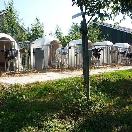 Boerderij De Verwondering-2